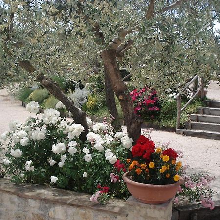 Tenuta Colverano Montefalco Extérieur photo