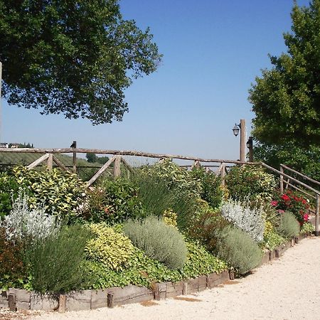 Tenuta Colverano Montefalco Extérieur photo
