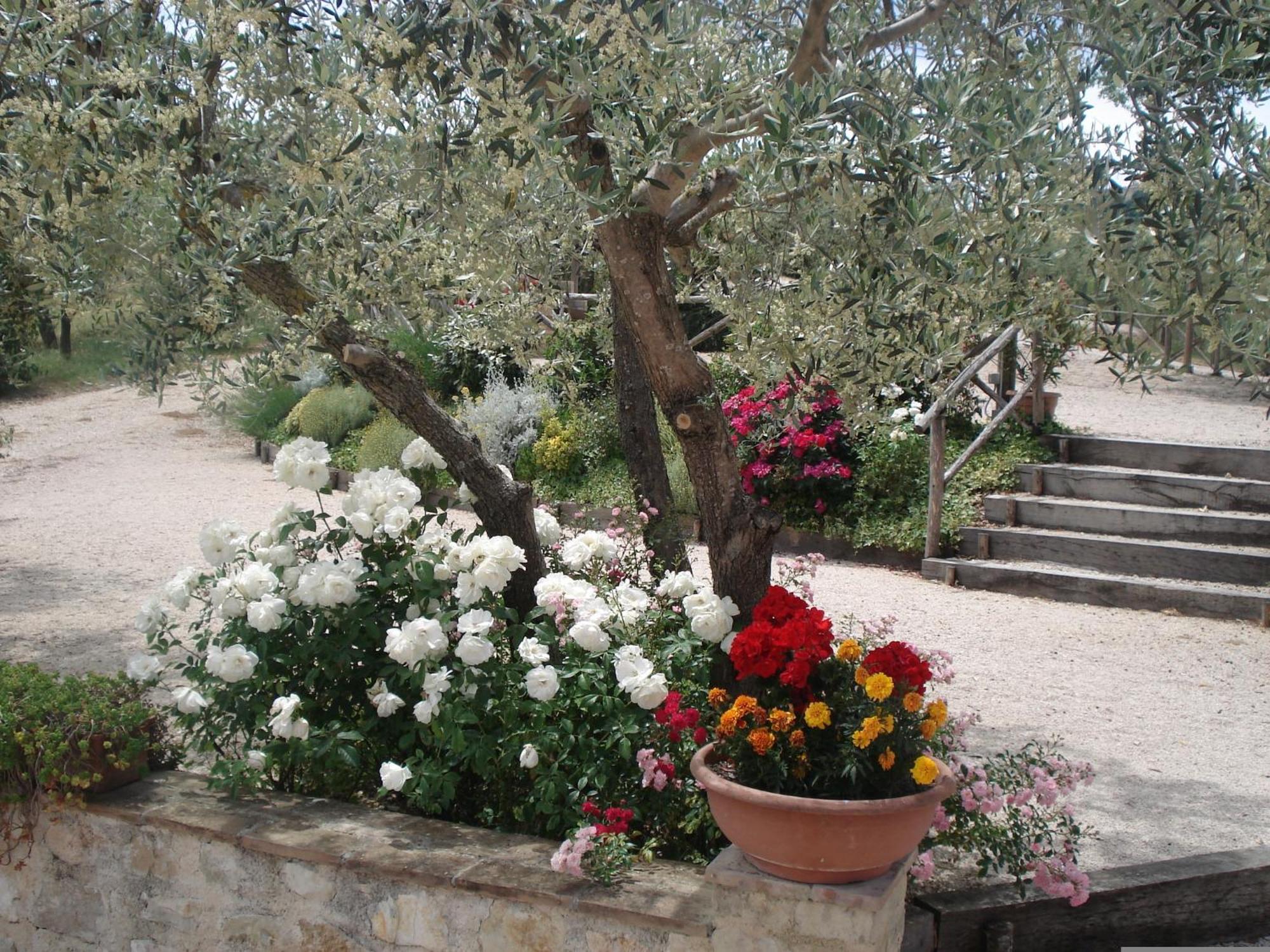 Tenuta Colverano Montefalco Extérieur photo