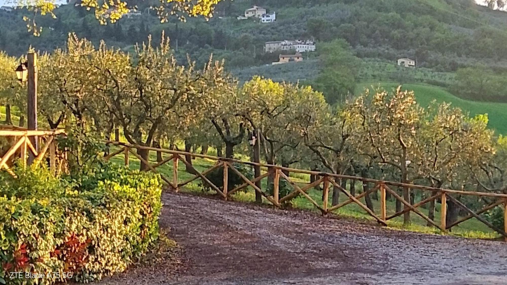 Tenuta Colverano Montefalco Extérieur photo