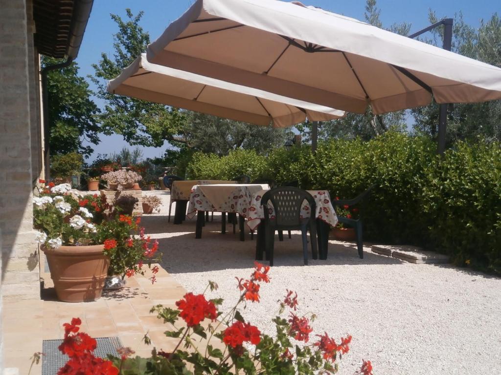 Tenuta Colverano Montefalco Extérieur photo