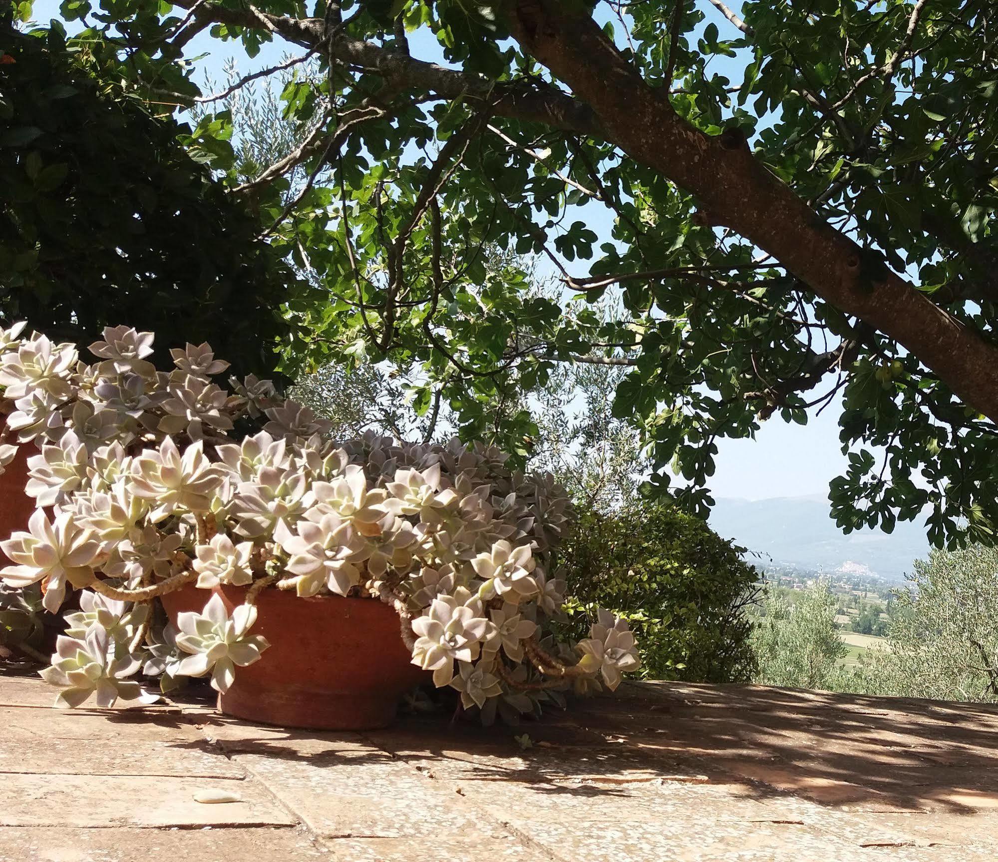 Tenuta Colverano Montefalco Extérieur photo