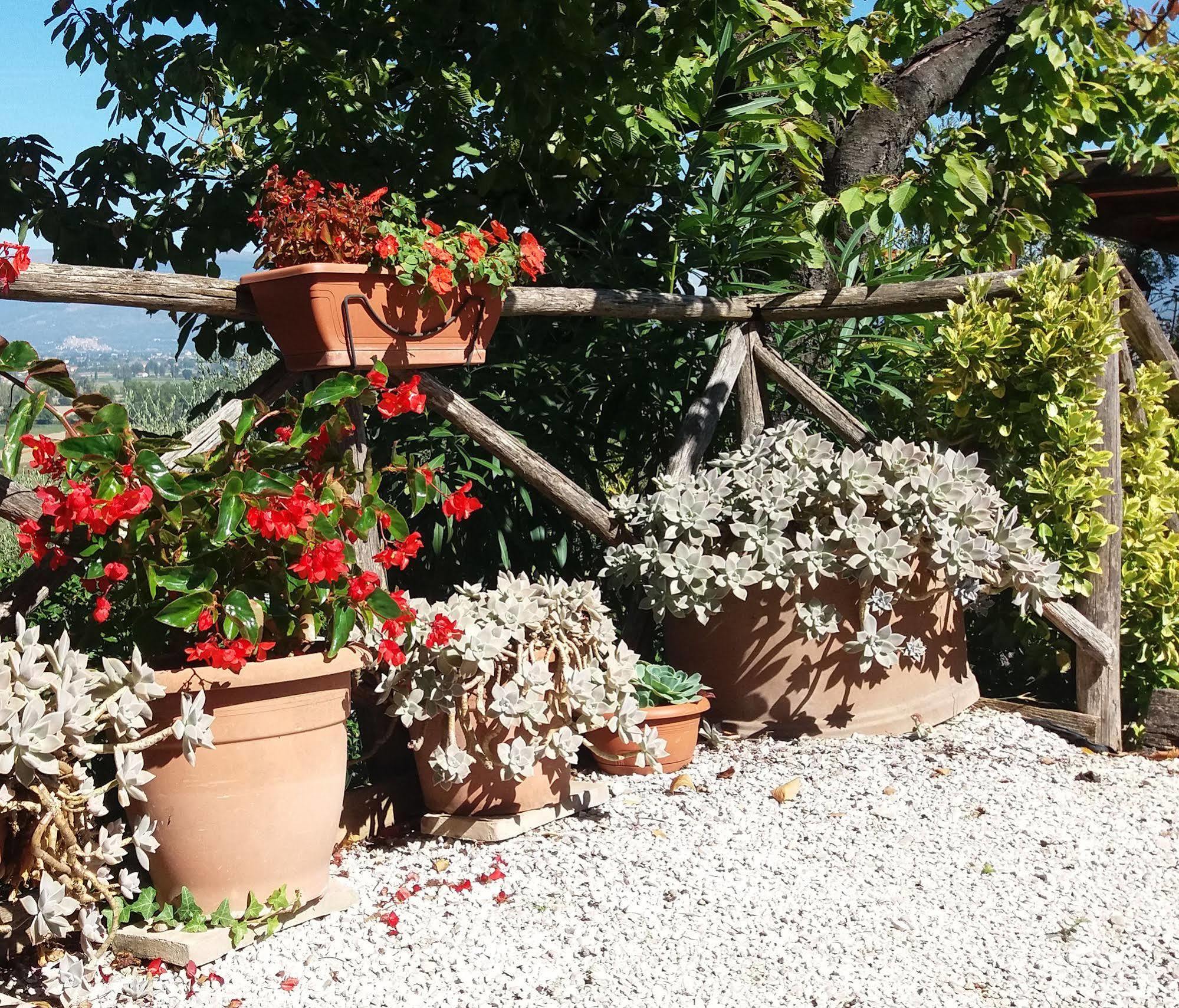Tenuta Colverano Montefalco Extérieur photo