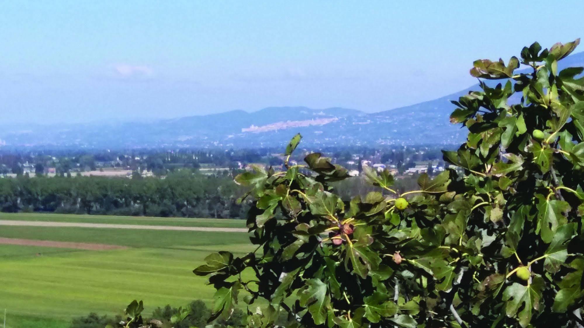 Tenuta Colverano Montefalco Extérieur photo