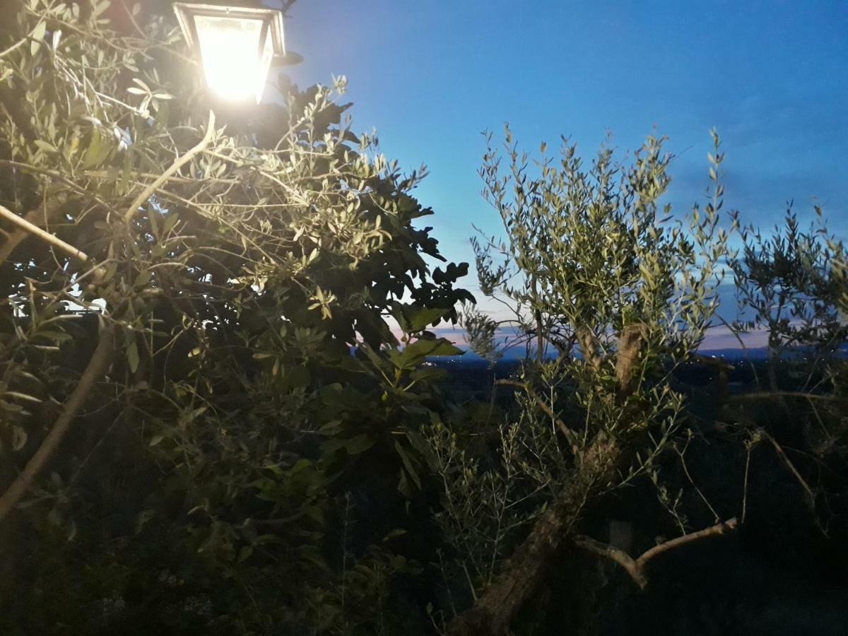 Tenuta Colverano Montefalco Extérieur photo
