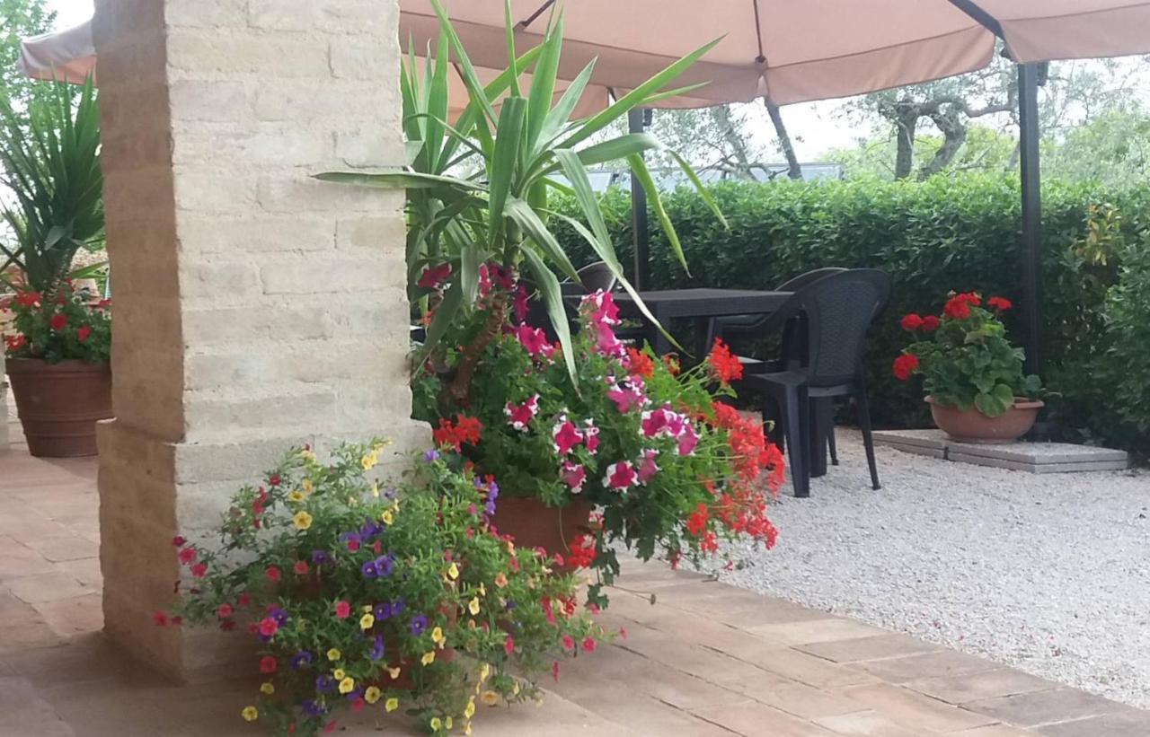 Tenuta Colverano Montefalco Extérieur photo